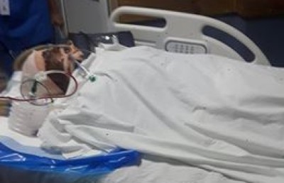 ސަމާ އައިލެންޑް ލޯންޗު އެކްސިޑެންޓުގައި އަނިޔާވި މީހަކު މަރުވެއްޖެ