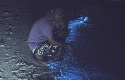 ރ. ވާދޫ ގޮނޑުދޮށުގައި ރެދަން ލައި ދިއްލާލައިފި
