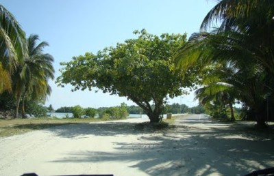 މާބައިދޫ އަންހެނުންތަކެއް ކައުންސިލް އިދާރާގައި އިހްތިޖާޖު ކުރަނީ