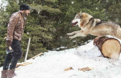 "ޓައިގާ ޒިންދާ ހޭ"ގެ އާ ފިލްމެއް އުފައްދަނީ