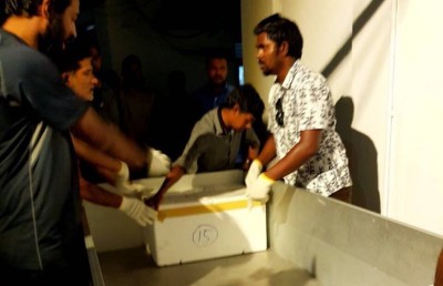 ފަން އައިލެންޑުން ގިނަ އަދަދެއްގެ ރާ ގެންގޮސްފި