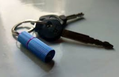 ކުޑަކުޑަ، އަގުހެޔޮ އަލިގަދަ ބައްތިއެއް