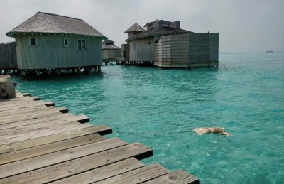 މަރުވެފައި އޮތް މީހެއްގެ ހަށިގަނޑު ސޮނެވާ ޖާނީ ރިސޯޓުގެ ފަޅުތެރެއިން ފެނިއްޖެ