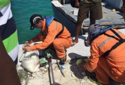 ބްރިޖުގެ ފައިނަލް ސާވޭގެ މަސައްކަތް ފަށައިފި