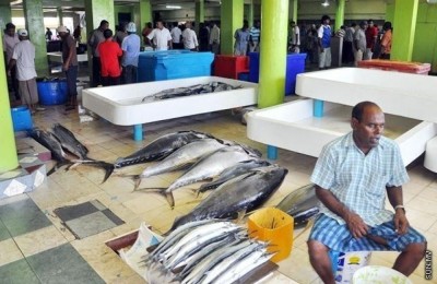 މާޗްމަހު އެކްސްޕޯޓް 90 ޕަސެންޓު އިތުރުވެއްޖެ