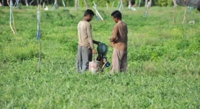 ކުރެންދޫގައި ދަނޑުވެރިކަމުގެ ޕްރޮގްރާމެއް ފައްޓައިފި