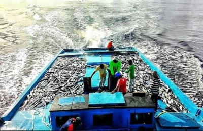 އެން ދަމަން ފީނި މީހަކު މަރުވެއްޖެ