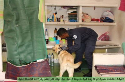 ކުއްތާގެ އެހީގައި މާފުށި ޖަލުން މަސްތުވާތަކެތި ހޯދައިފި