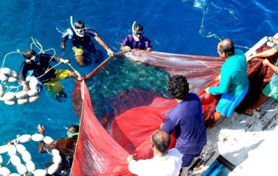 އެންވެރިކަން ދެމެހެއްޓުމަށް ސަރުކާރުން އަމަލީ މަސައްކަތްތަކެއް ފަށައިފި