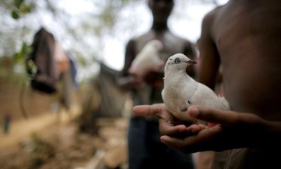 ޕާކިސްތާނުގެ "ޖާސޫސީ ކޮތަރެއް" އިންޑިއާ އިން ހައްޔަރުކޮށްފި