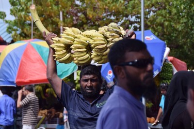 ދޮންކޭލުގެ އަގު އަދި ވެސް އަތްނުފޯރާ ފަށުގައި
