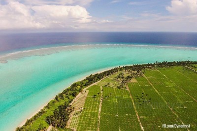 ތޮއްޑޫގައި ދަނޑު ހައްދަން ބިން ކުއްޔަށް ދީގެން އަހަރަކު މިލިއަނެއްހާ ރުފިޔާ ހޯދާ