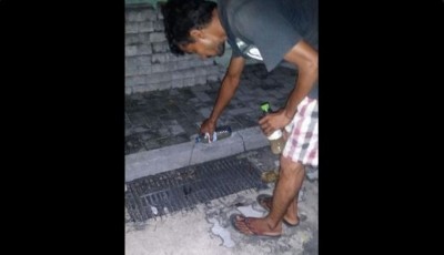 ކާނުތަކަށް މަދިރި ބޭސް އަޅަން ފަށައިފި