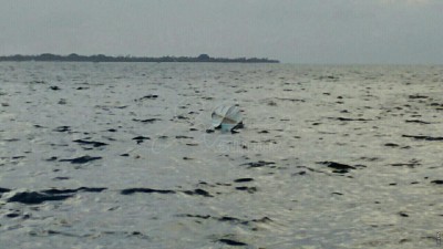 ވެއްޓުނު ބޯޓުގެ ލަގެޖުތައް ނަގައި ރިސޯޓާ ހަވާލުކޮށްފި