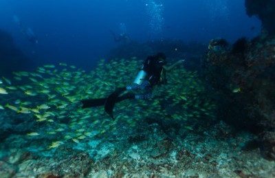 ކެލާ ފެނުޕަރީ ދިގުރަށުގައި!