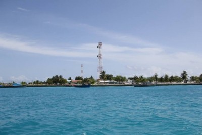 ތުޅާދޫގައި މަރުވެފައި އޮއްވައި ފެނުނު ކުއްޖާގެ މަންމަ ހައްޔަރުކޮށްފި