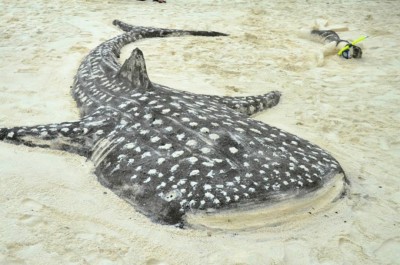 މާމިނގިލީގައި 'ފެހުރިހި ފެސްޓިވަލެއް' ބާއްވަނީ