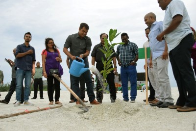 ހުޅުމާލޭ އަލަށް ހިއްކި ބިމުގައި 500 ގަސް އިންދައިފި