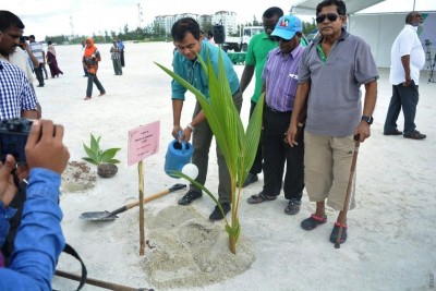 ހުޅުމާލެ އަލަށް ހިއްކި ބިމުގައި މިހާތަނަށް 6000 ގަސް އިންދައިފި