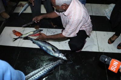 ކައްޓެޅި: ފުވައްމުލަކު ރަސް މަސް!