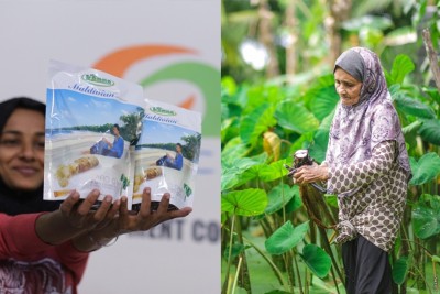 "އަލަ ހުއްޓާ ބަނޑަކަަށް ނުޖެހޭނެ، މުއްސަނދިވާނީ ވެސް މި ވިޔަފާރީގައި"