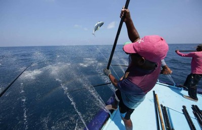 ދެކުނުން މަސް ގަންނަ މިންވަރު އިތުރުކުރަނީ