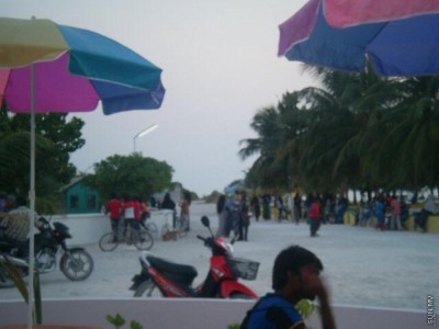 ދަތުރުތައް މަޑުޖެހުމުން މަކުނުދޫން ކާޑުގެ ބާވަތްތައް ހުސްވެއްޖެ