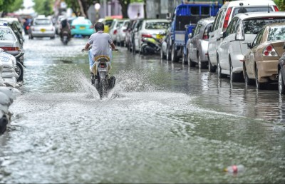 މިއީ ދެ މޫސުން ބެދޭ ވިއްސާރަ: މެޓް