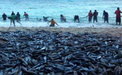 ބުރުނީ ފަޅުން ރާގޮނޑި ހިފަމުން އަންނަތާ ހަފްތާއެއް ވެއްޖެ