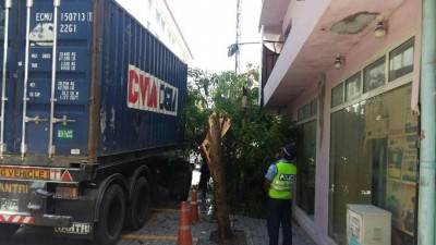 ކޮންޓޭނާ ލޮރީއަކުން ޖެހި ގަހެއް ބިނދިއްޖެ