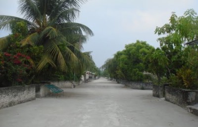 ކުންނާރު އޮށެއް ކަރުގައި ތާށިވެގެން ކުއްޖަކު މަރުވެއްޖެ