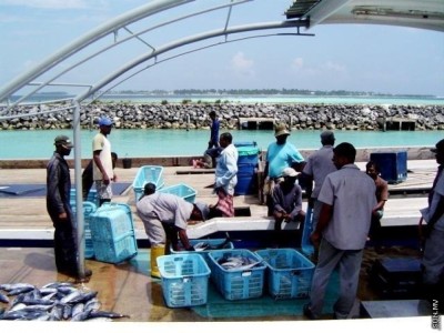 ފިޝަރީޒް ކޮމްޕުލެކްސް ކޭނަރީއަށް ދިވެހި މުވައްޒަފުން ހޯދަނީ