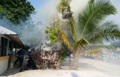 ތަކަންދޫގައި އަލިތަކުރުފާނު އިންދެވި ކާނިގަހުގައި ރޯކޮށްލައި ބޮޑެތި ގެއްލުންތަކެއް ދީފި