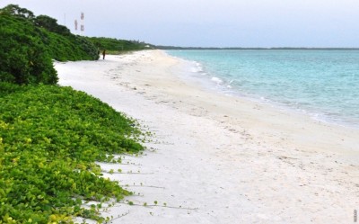 ރަށްތަކުގެ ގޮނޑުދޮށް ހިމާޔަތް ކުރުމަށް 329 މިލިޔަން ރުފިޔާ ހަރަދުވާނެ: ޡާރިޤު