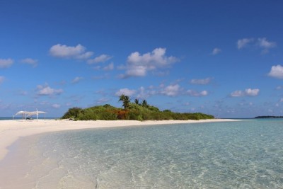 އދ. ބޮޑުކާށިހުރާ ބަލައި ފާސްކުރަނީ