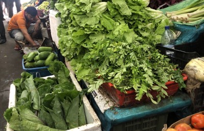 ކޮޕީފަތުގެ އަގު ވެއްޓޭކަށް ނެތް