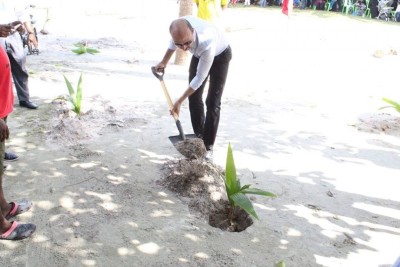 ކަޅުއޮށްފުންމި ބަނުމަށް ކެނޑި ކޮންމެ ރުކަކަށް ދެ ރުއް އިންދަން ފަށައިފި