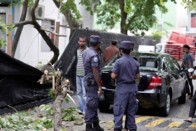 ގަހެއްގެ އޮފިގަނޑެއް ވެއްޓި ޓެކްސީއެއްގެ ބިއްލޫރި ގަނޑު ތަޅައިގެން ހިނގައްޖެ