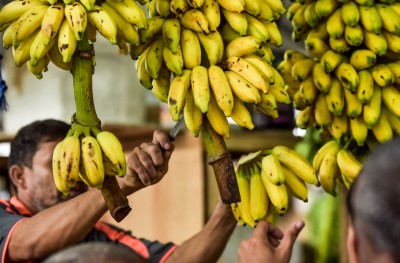 ކެޔޮ ވަކުގައި ލައް ނުޖަހާ ގޮތް ހަދަނީ