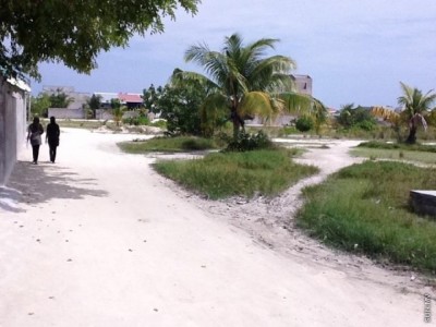 އަންހެން މީހާގެ ސިކުނޑިއަށް ވަނީ ލޭ އެޅިފައި، އޮޕަރޭޝަން ވެސް ނުކުރެވުނު