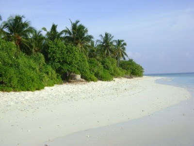 ޗައިނާގެ ވެބްސައިޓަކުން ރާއްޖޭގެ ރަށެއް ނީލަން ކިޔައިފި