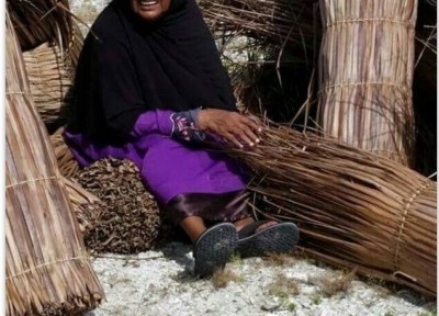 ތަކަންދޫ ހެއްވާލި ފަންގި!