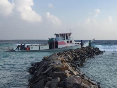 ނޭކުރެންދޫ ތޮށްޓަށް އެރި ދޯންޏެއް ފުންކޮށްފި