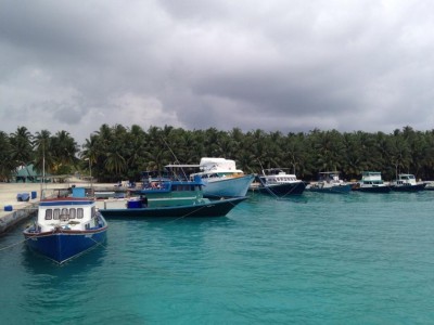 ޑައުންސިންޑްރޮމް ހުންނަ ކުއްޖަކަށް ޖިންސީ ގޯނާކުރި ކަމުގެ ތުހުމަތުގައި ބިދޭސީއަކު ހައްޔަރުކޮށްފި