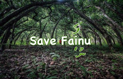 ފައިނުގައިި ހަދާ އެއާޕޯޓާ މެދު ވެސް ކަންބޮޑުވުންތަކެއް