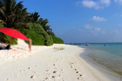 ތޮއްޑޫގައި ފަތުރުވެރިއެއްގެ ދަބަހުން 18،000 ރުފިޔާ ވަގަށްނެގި މައްސަލައެއްގައި ދެ މީހަކު ހައްޔަރުކޮށްފި