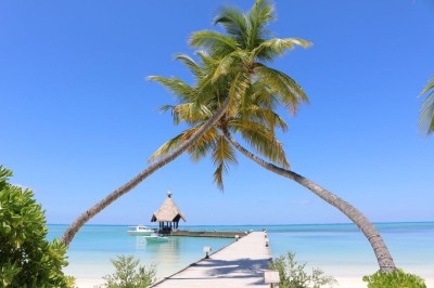 އައްޑޫގައި ސްނޯކްލިން އަށް ގޮސް އުޅުނު ފަތުރުވެރިޔަކު ގެނބިގެން މަރުވެއްޖެ