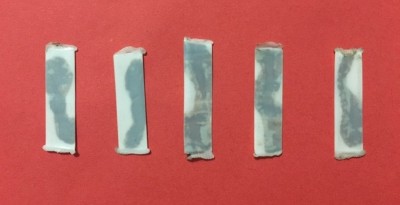 މަސްތުވާތަކެއްޗާއެކު ގެމަނަފުށިން ކުޑަކުއްޖަކު ހައްޔަރުކޮށްފި