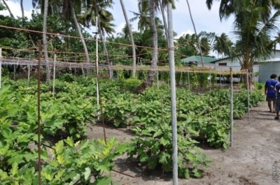 ބ. އަތޮޅުން ވަރުވާއަށް ދޫކުރަން ނިންމި 20 ރަށުގެ އިއުލާނު ބާތިލުކޮށްފި