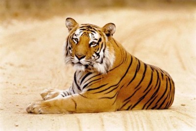 ފާއިތުވި ގަރުނު ތެރޭގައި ފުރަތަމަ ފަހަރަށް މިނިކާވަގުގެ އާބާދީ އިތުރުވެއްޖެ